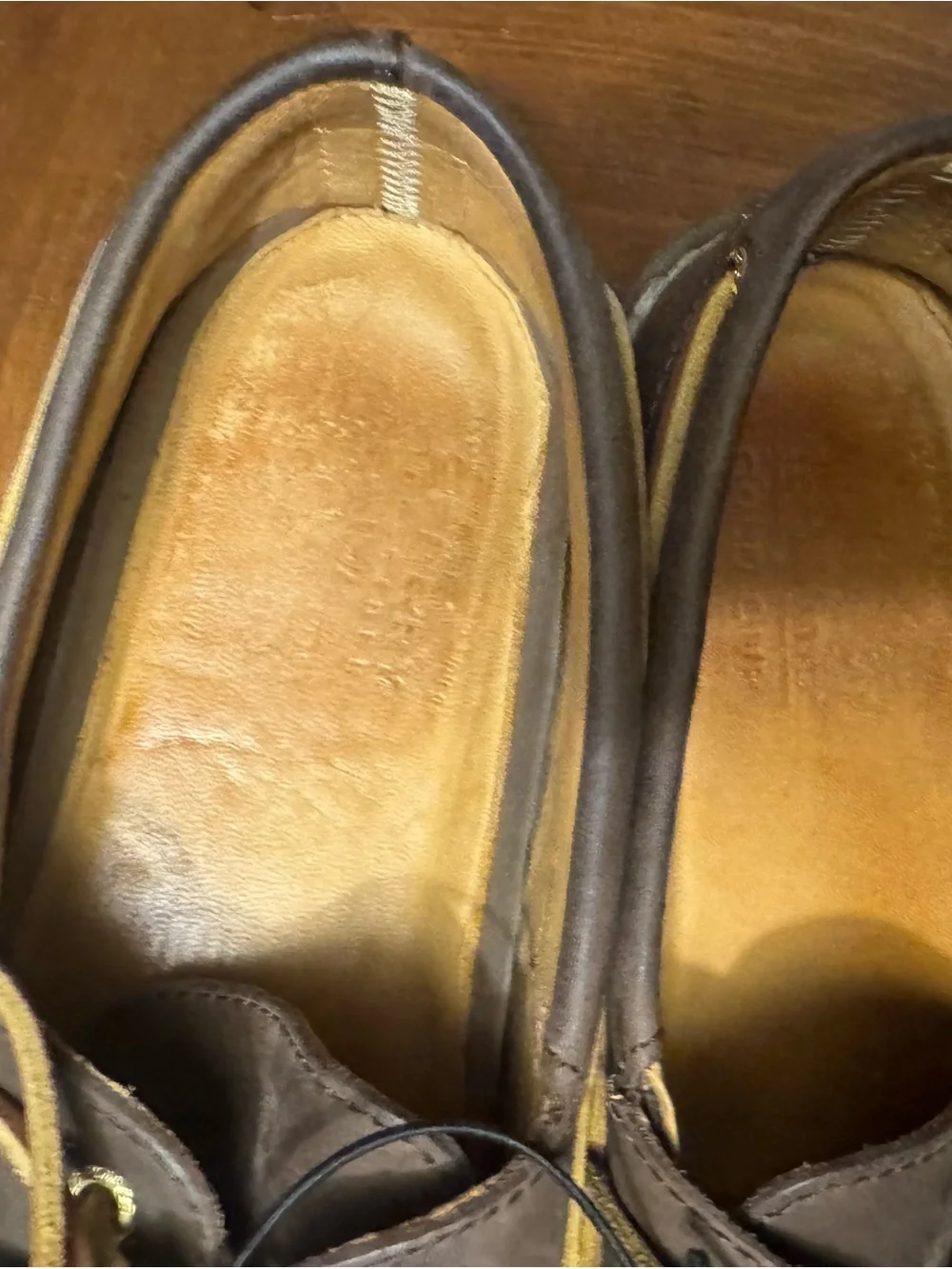 Sperry gold cup
